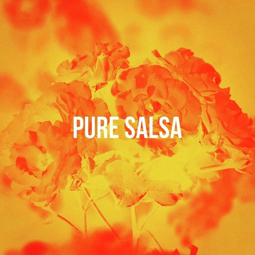 Pure Salsa