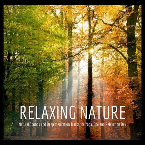Tropical Poem at Dusk cover art