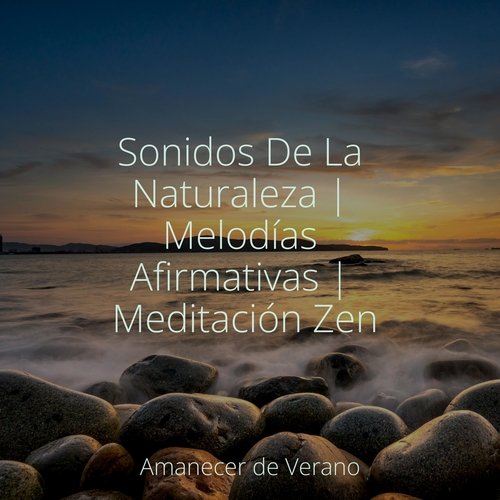 Sonidos De La Naturaleza | Melodías Afirmativas | Meditación Zen