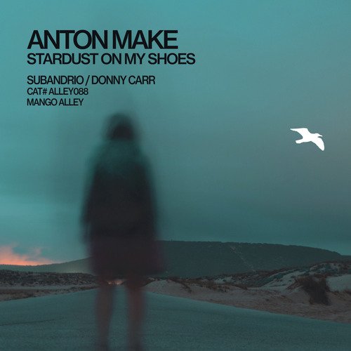 Stardust On My Shoes