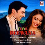 Tera Deewana