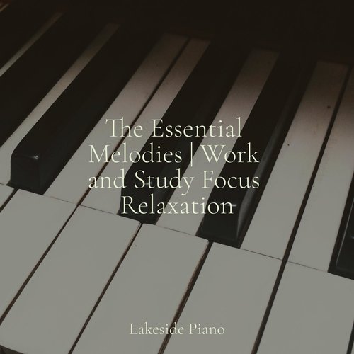 The Essential Melodies | Work and Study Focus Relaxation