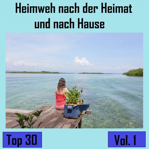 Top 30: Heimweh nach der Heimat und nach Hause, Vol. 1