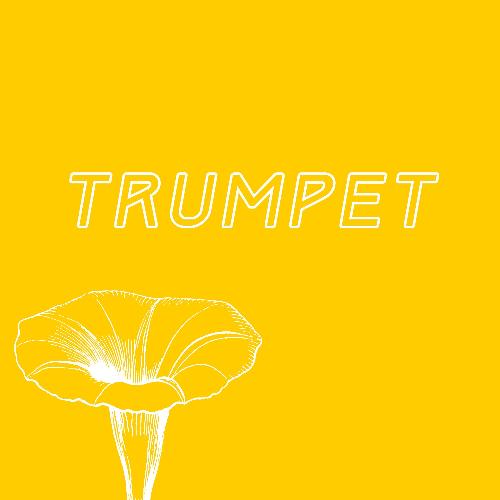 Trumpet