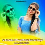 Tu Bhi Radha Ki Diwani Me Bhi Bhole ko Bhagat