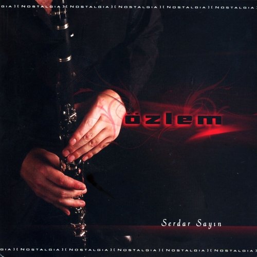 Özlem cover art