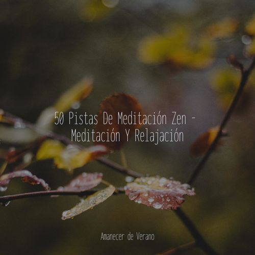 50 Pistas De Meditación Zen - Meditación Y Relajación