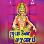 Naarpadhu Naal