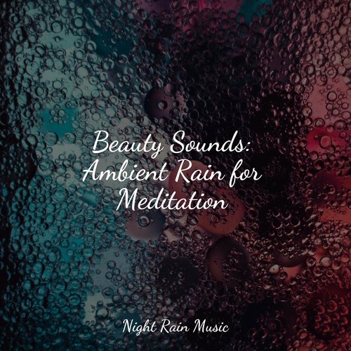Rain, Storm and Thunder cover art