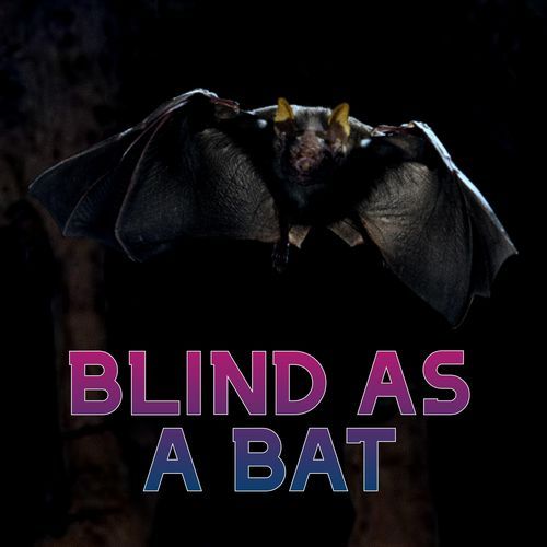 Blind as a Bat