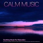 Calm Music: Soothing Music For Relaxation, Spa, Massage, Yoga, Meditation, Mindfulness, Stress Relief, Studying, Focus, Concentration, Study Music, Reading, Sleep and Sleeping Music_poster_image