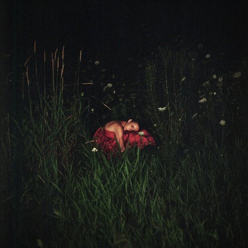 Brad cover art