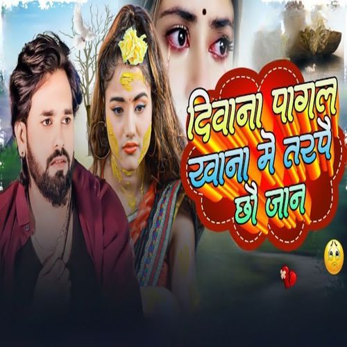 Deewana Pagal Khaana Me cover art