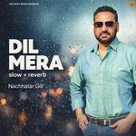 Dil Mera (Slow+reverb)