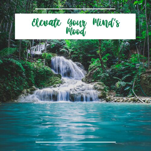 Peaceful Reverie cover art