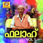 Veedila