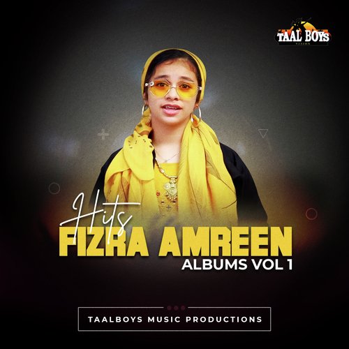 Hits Of Fizra Amreen, Vol. 1