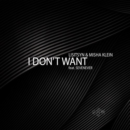 I Don&#039;t Want (feat. Sevenever)_poster_image