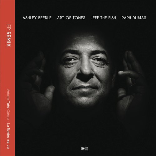 La Rumba Me Va (Art Of Tones Extended Disco Remix) cover art