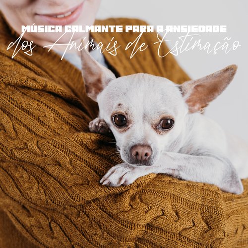 Música para Animais Estressados cover art