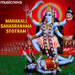 Mahakali Sahasranama Stotram