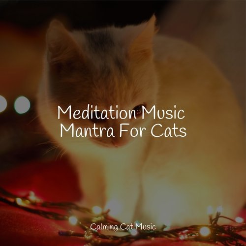 Lazy Morning cover art
