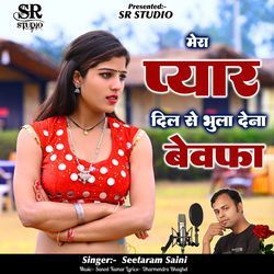 Mera Pyar Dil Se Bhula Dena Bewfa