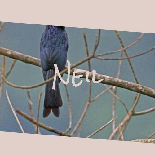 Neil cover art