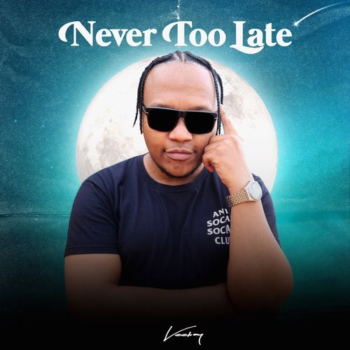 Never Too Late_poster_image