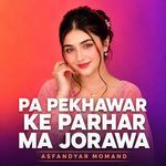 Pa Pekhawar Ke Parhar Ma Jorawa