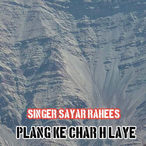 Plang Ke Char H Laye