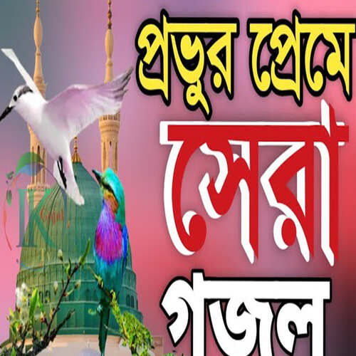 Ridoy Jure Tomari Prem Dau Provo