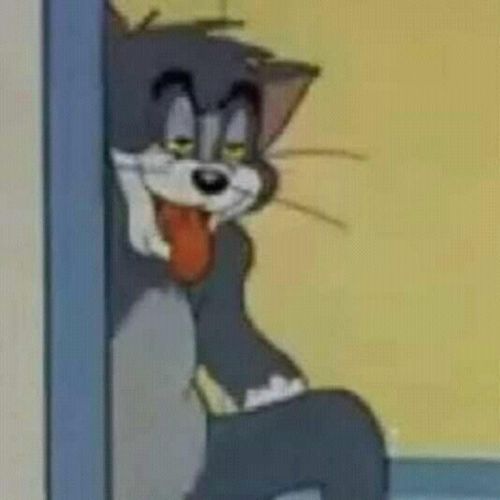 SUCK A D8CK