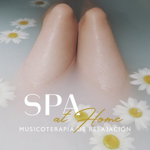 Musica Relajante cover art
