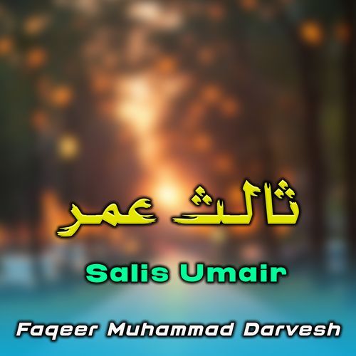 Salis Umair