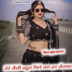 Teri Jaisi Bahut Mili Chal Hat Bewafa