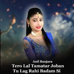 Tero Lal Tamatar Joban Tu Lag Rahi Badam Si