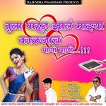 Tula Pahun Zal Mazhya Kaljach Pani Pani