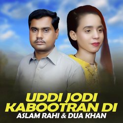 Uddi Jodi Kabootran Di-Pl8fHBx2ZAA