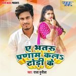 Ae Bhataru Pranam Kal Dhodi Ke