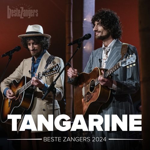 Beste Zangers 2024 (Tangarine)_poster_image