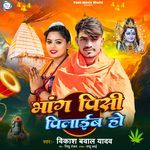 Bhang Pisi Pilaibo Ho