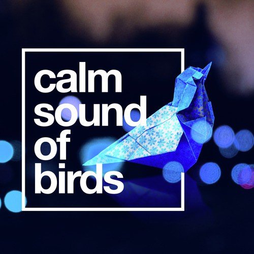 Calm Sounds of Birds