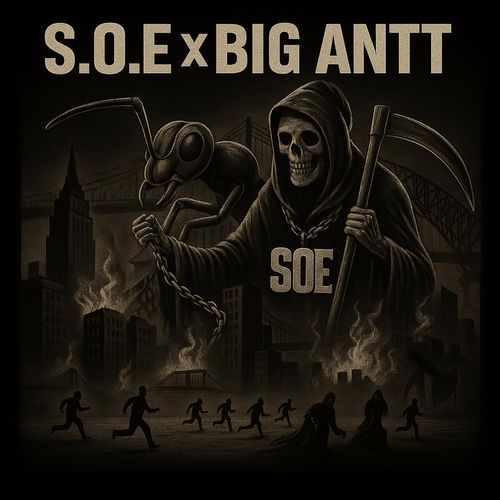 WLK cover art