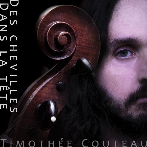 Des chevilles dans la tête - Timothée Couteau_poster_image