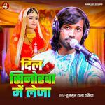 Dil Sinhorva Me Leja