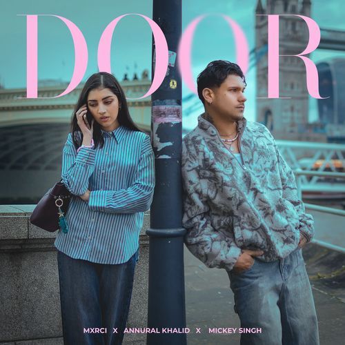 Door cover art