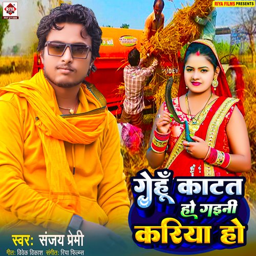Gehu Katata Ho Gaini Kariya Ho