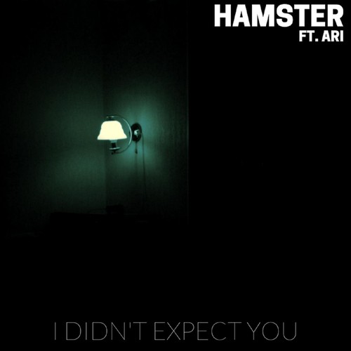 I Didn't Expect You (feat. Ari)
