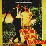 Chikkendra Aadayil Chittukkal artwork
